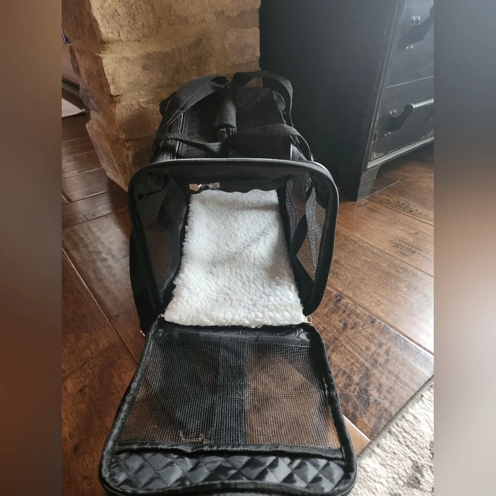 Black Mesh Pet Carrier